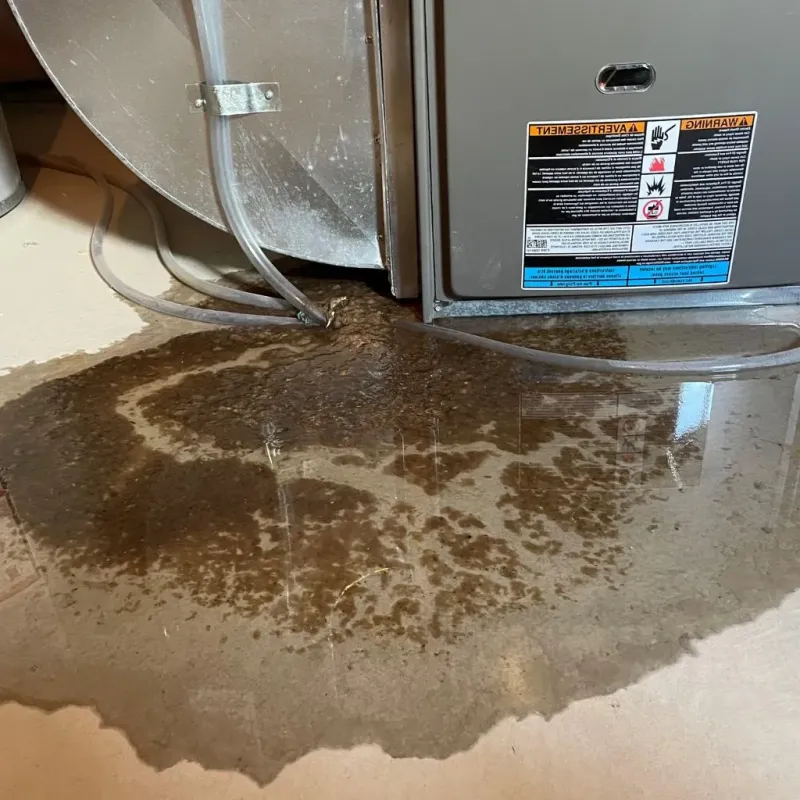 Pipe Burst and Leak Restoration in Millersville, PA